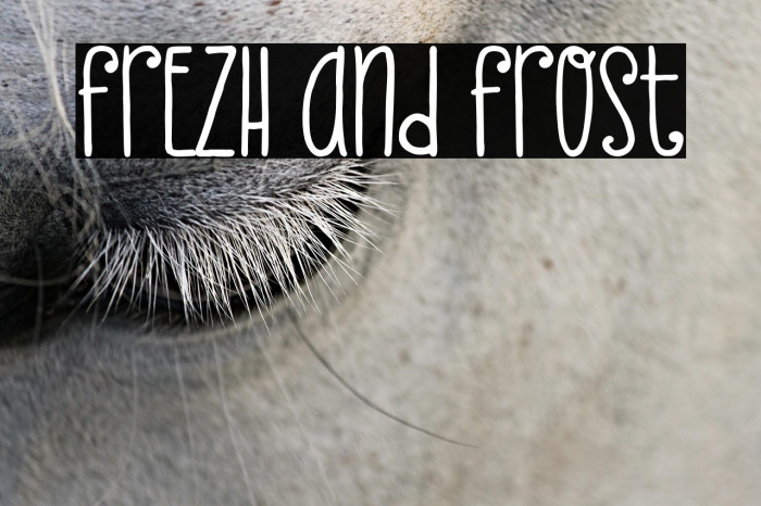 Frezh And Frost Example 3