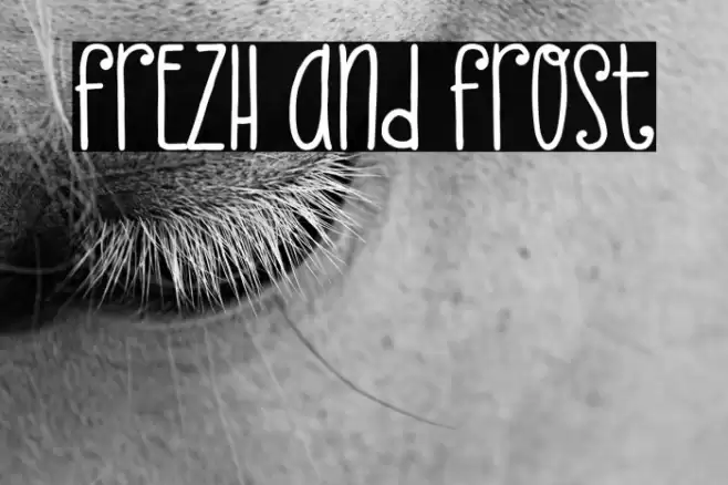 Frezh And Frost Font examples