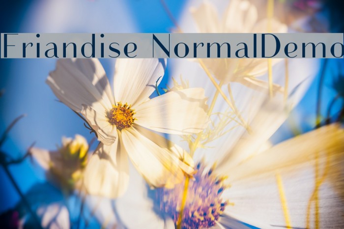 Friandise NormalDemo Example 2