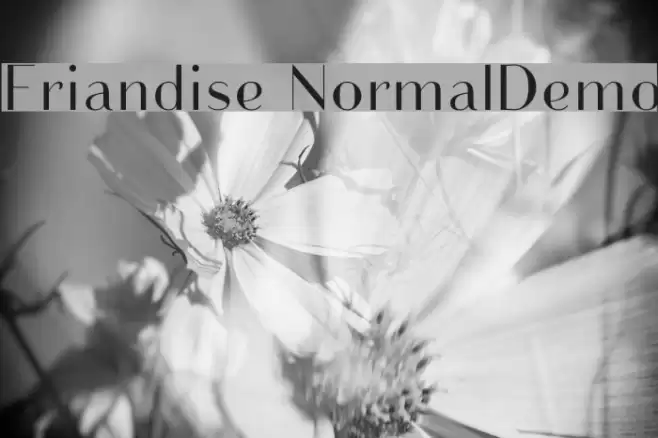 Friandise NormalDemo Font examples