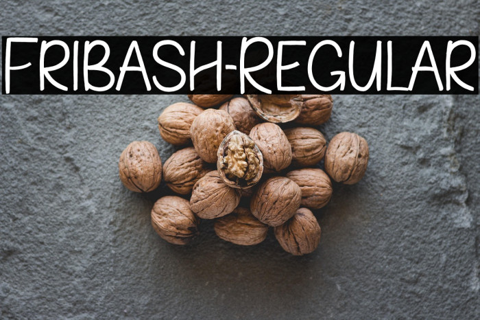 Fribash-Regular Example 1