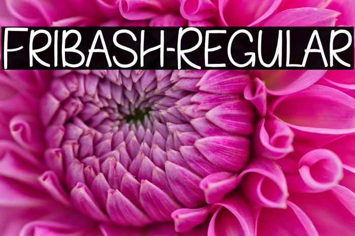 Fribash-Regular Example 2