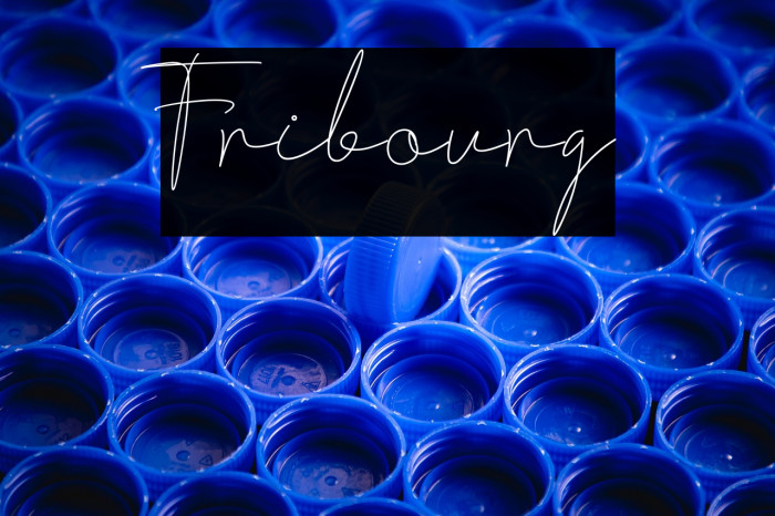 Fribourg Example 1