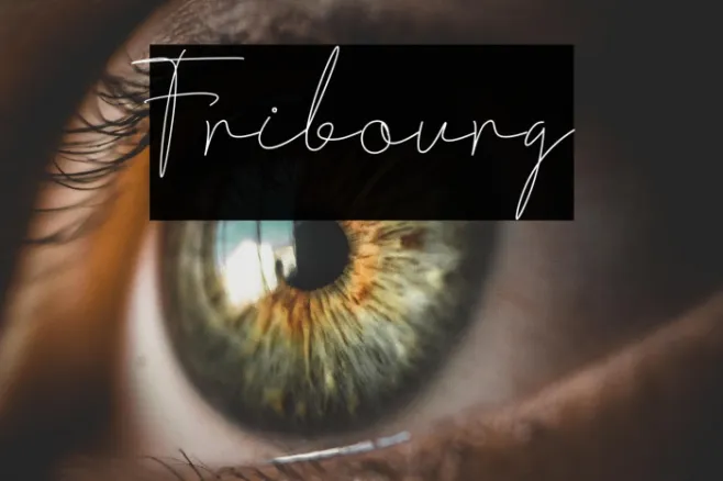 Fribourg Example 2