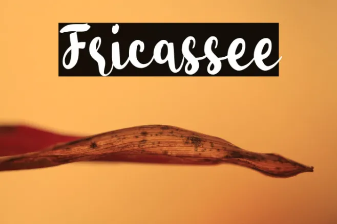 Fricassee Example 2