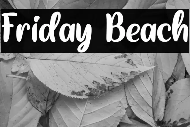 Friday Beach Font examples