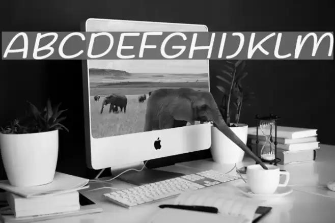 Friday October Twelve Italic Font examples