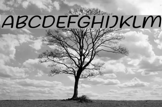 Friday October Twelve Italic Font examples