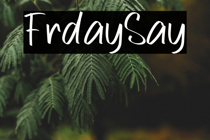 Friday Say Example 1