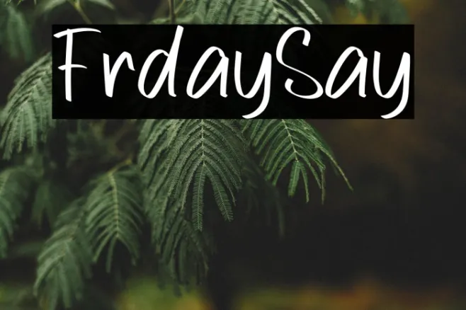 Friday Say Example 1