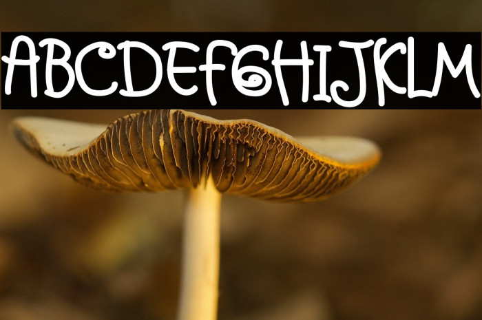 Friday School Example 1