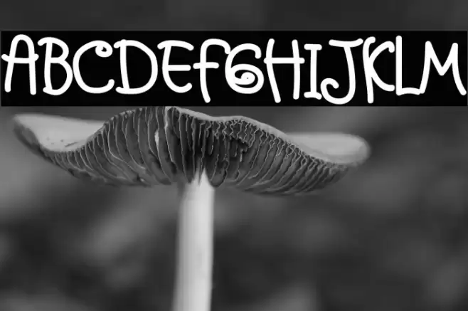 Friday School Caratteri examples