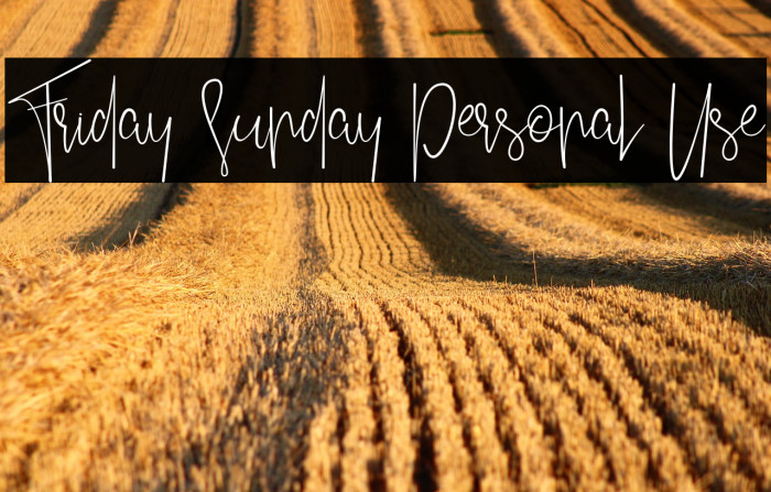 Friday Sunday Personal Use Example 3