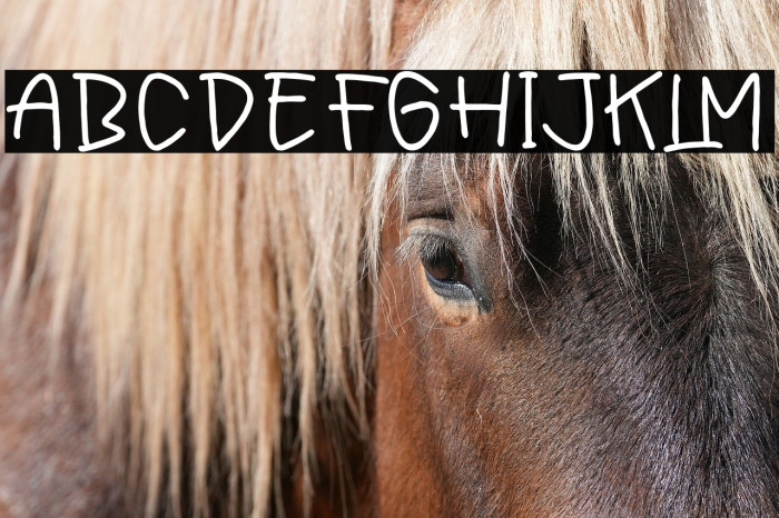 Friday Sunytime Example 1