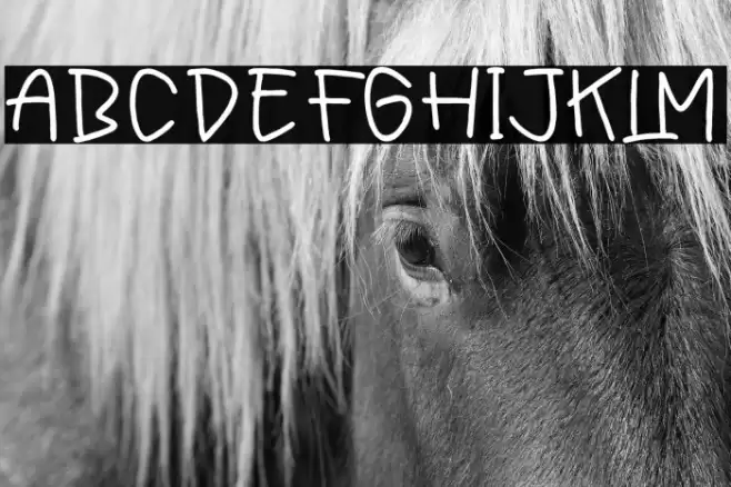 Friday Sunytime Polices examples