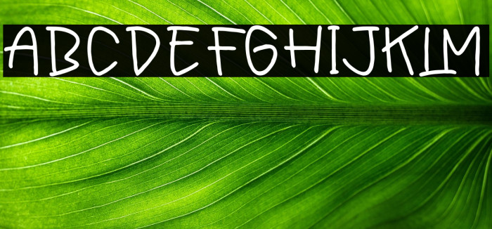 Friday Sunytime Example 3