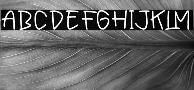 Friday Sunytime Polices examples