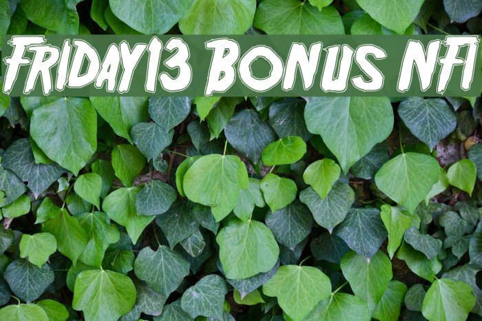 Friday13 Bonus NFI Font examples