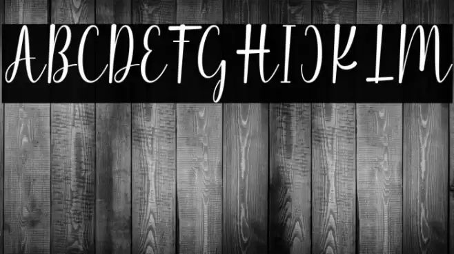 Friday Font examples