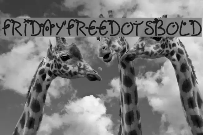 Fridayfreedotsbold Font examples