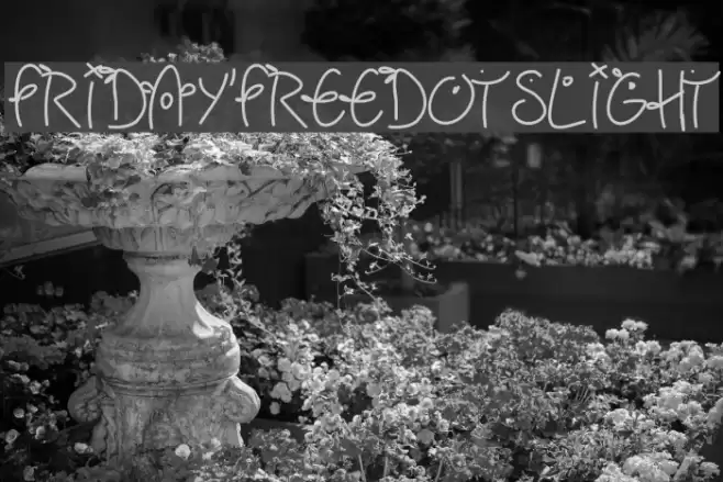 Fridayfreedotslight Font examples