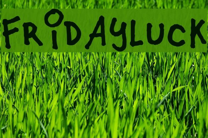 Fridayluck Example 3