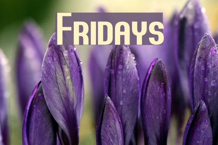 Fridays Font examples