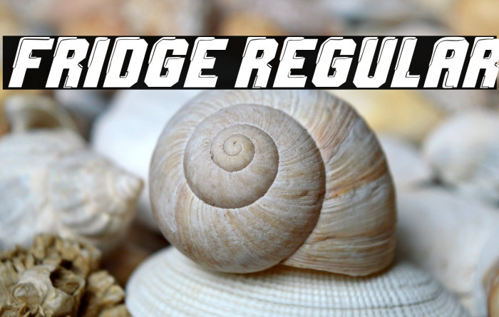 Fridge Regular Example 1