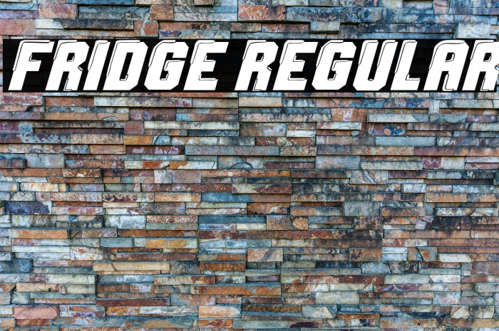 Fridge Regular Example 2