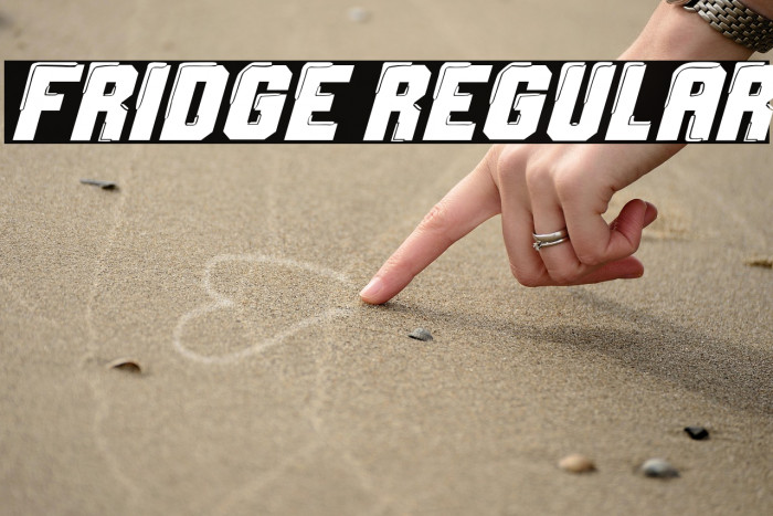 Fridge Regular Example 3