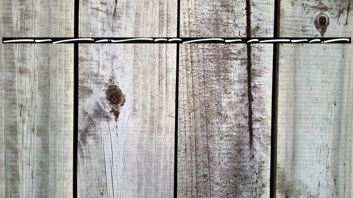 Fridollia Swash Example 2