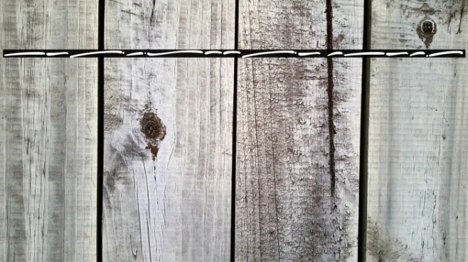 Fridollia Swash Example 2