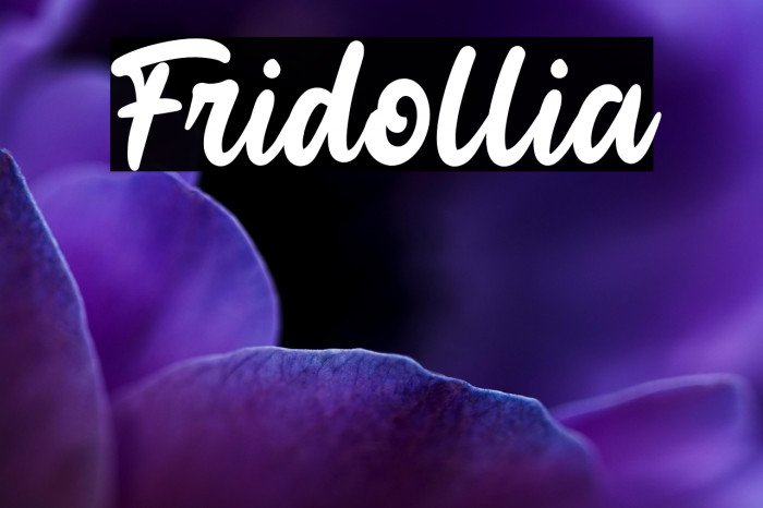 Fridollia Example 2