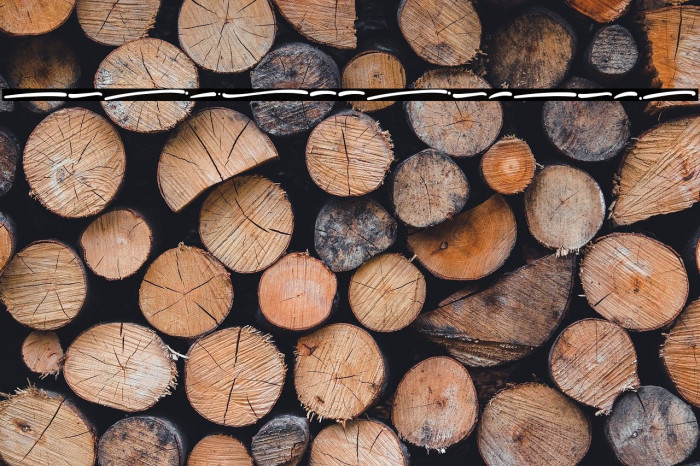 FridolliaSwash Example 2