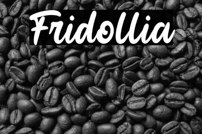 Fridollia Font examples