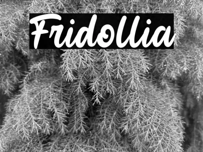 Fridollia Font examples