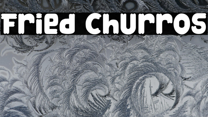 Fried Churros Example 2