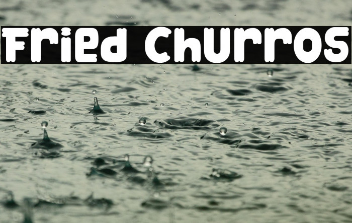 Fried Churros Example 3