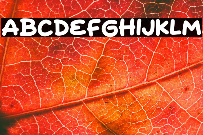 Fried Duck Example 3