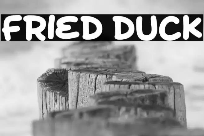 Fried Duck Font examples