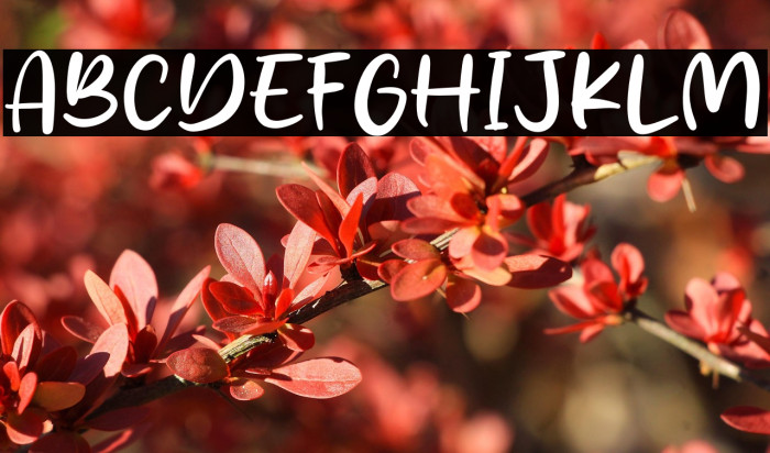 Fried Kentucky Example 1