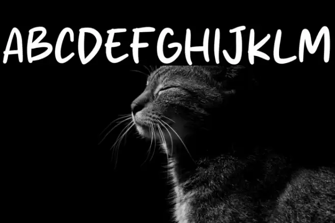 Fried Nuget Font examples