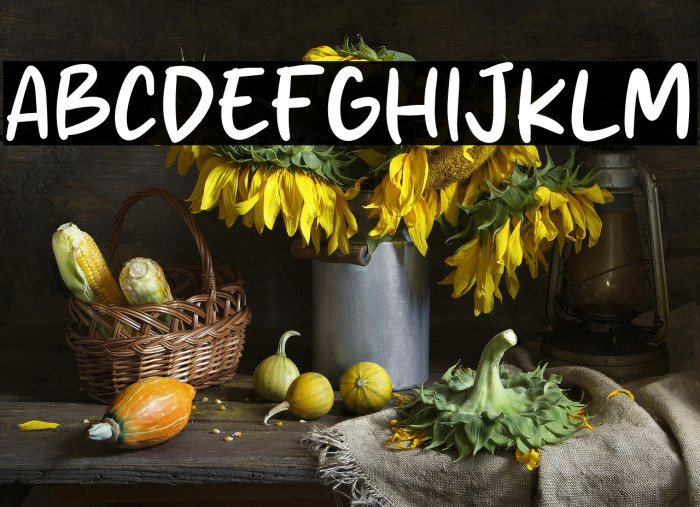 Fried Nuget Example 2