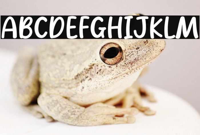 Fried Rice Example 3