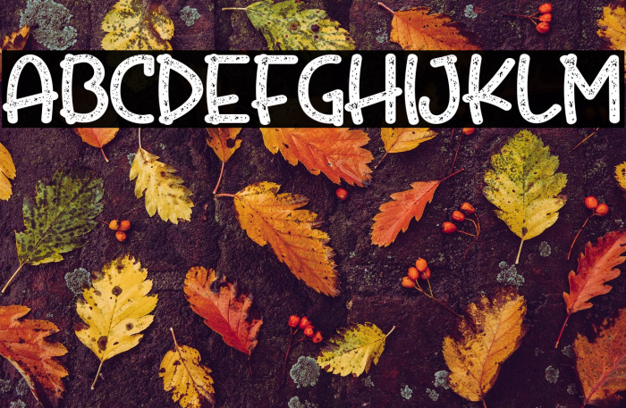 FriedBeefTomatoRegular Example 2