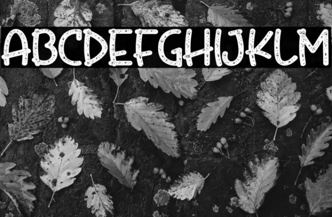 FriedBeefTomatoRegular Font examples