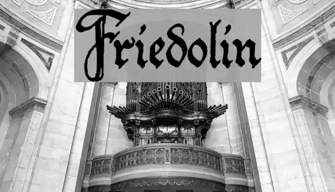 Friedolin Fonte examples
