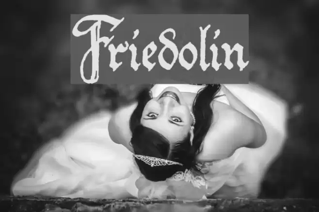 Friedolin Fonte examples