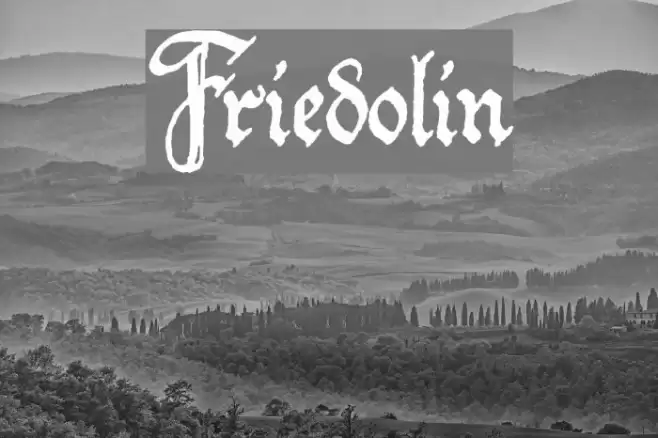 Friedolin Fonte examples