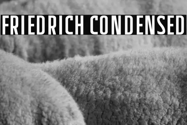 Friedrich Condensed Font examples
